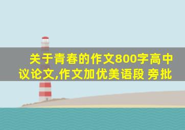 关于青春的作文800字高中议论文,作文加优美语段 旁批